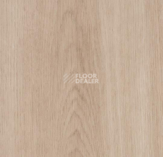 Кварцвиниловые полы Forbo Allura Decibel 8WSM03-3WSM03 dune smooth oak фото 1 | FLOORDEALER